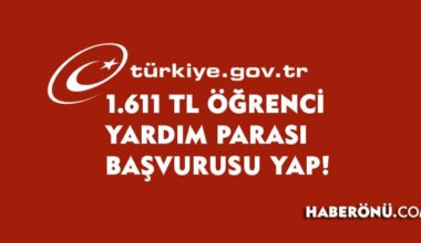 Öğrenci yardım parası başvuru formu doldur 2024!